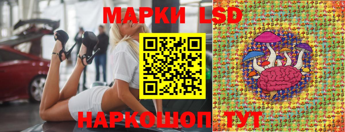 APVP Бирск