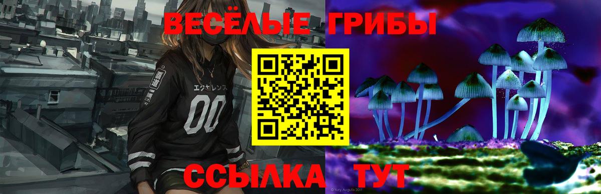Псилоцибиновые грибы GOLDEN TEACHER Бирск